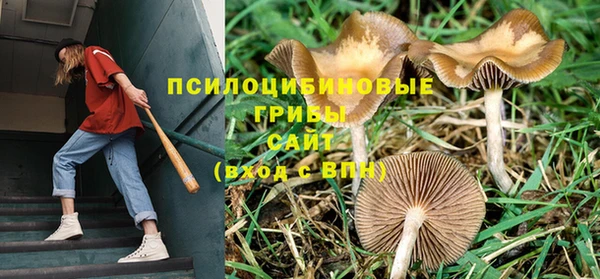 мет Заводоуковск