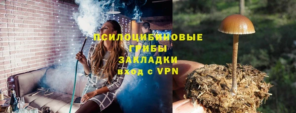 мдпв Заволжск