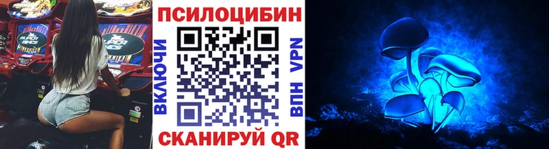 Купить  Касли  Галлюциногенные грибы Psilocybine cubensis 